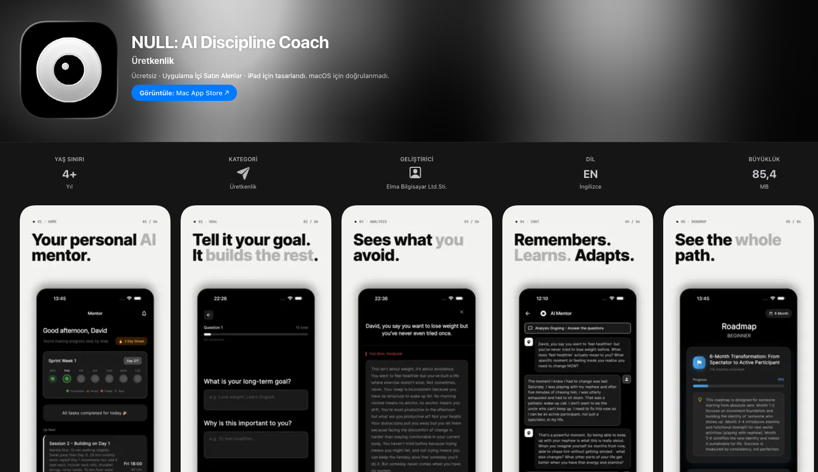 NULL: AI Discipline Coach Cover
